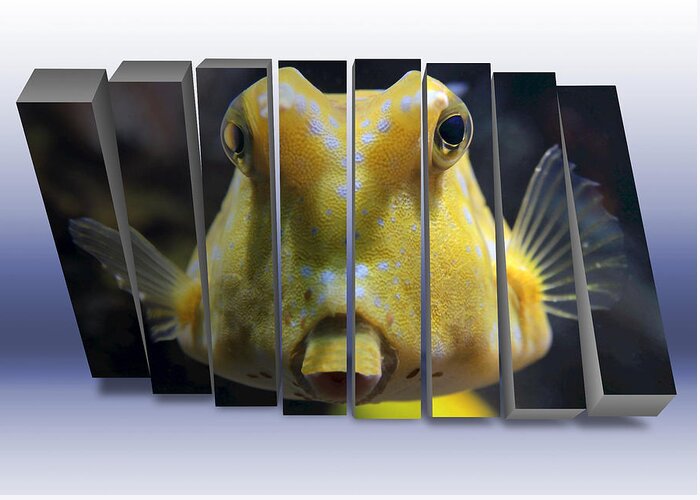Cowfish Greeting Card featuring the mixed media Saltwater Cowfish by Marvin Blaine
