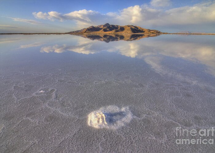 Great Greeting Card featuring the photograph Salty Reflection by Spencer Baugh