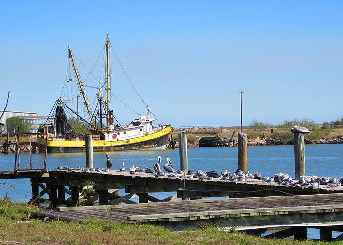 Shrimp Boat Greeting Card featuring the photograph Salvador R by Keith Stokes