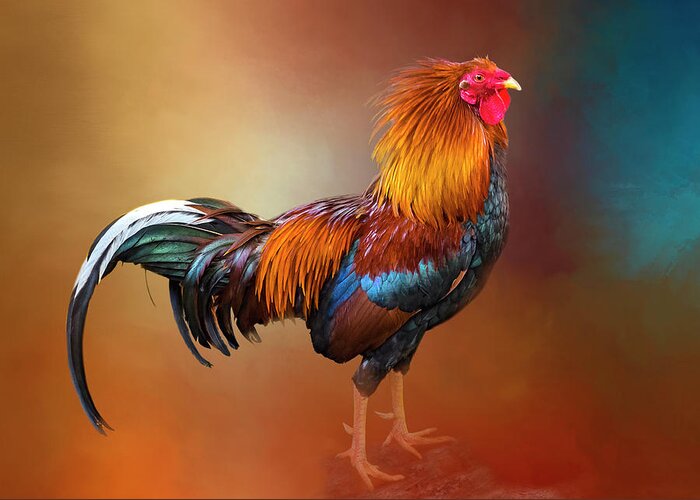 Rooster Greeting Card featuring the photograph San Juan Rooster by Denise Saldana