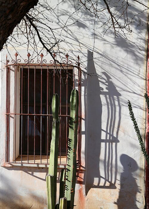 Mission Greeting Card featuring the photograph San Xavier Window and Shadows 1 by Mary Bedy