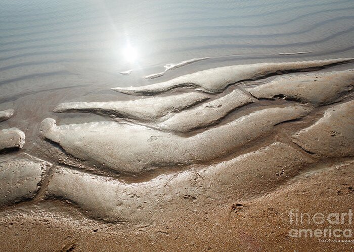 Florida Greeting Card featuring the photograph Sand Art No. 13 by Todd Blanchard