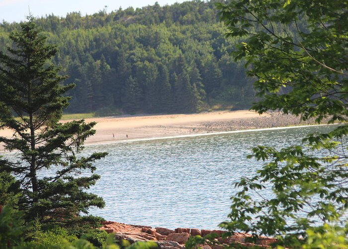 Acadia National Park Greeting Card featuring the photograph Sand Beach From A Distance by Living Color Photography Lorraine Lynch