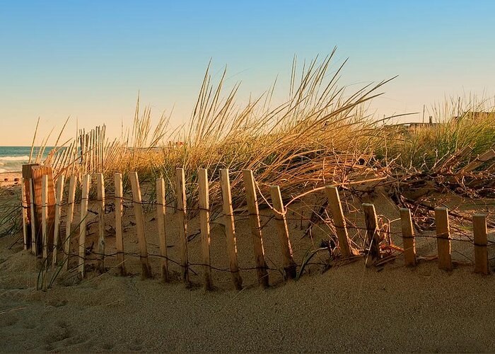 Jersey Shore Greeting Card featuring the photograph Sand Dune in Late September - Jersey Shore by Angie Tirado