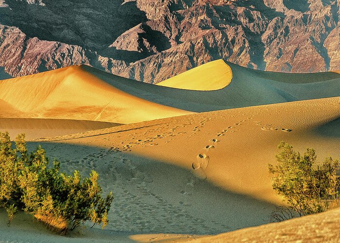 Death Valley Greeting Card featuring the photograph Sand Dunes - Death Valley by Winnie Chrzanowski