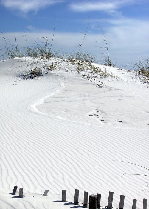 Sand Dunes Greeting Card featuring the photograph Sand Dunes Dream 2 by Marie Hicks