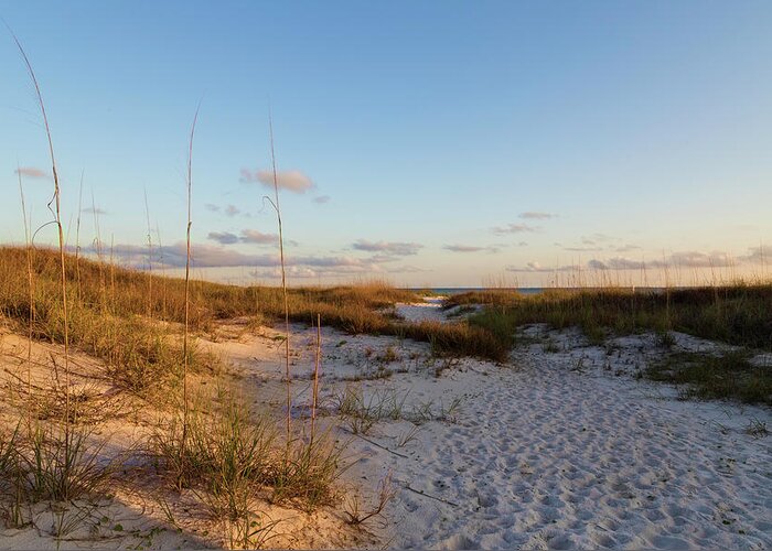 Beach Greeting Card featuring the photograph Sand Dunes by Lorraine Baum