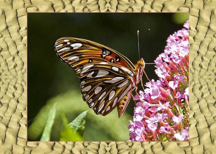  Nature Photos Greeting Card featuring the photograph Sandflow Butterfly by Bell And Todd