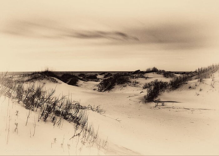 Dunes Greeting Card featuring the photograph Sands of Time by C Renee Martin