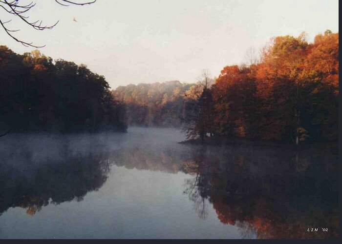 Fall Leaves Greeting Card featuring the photograph Sandy Mist by Lin Grosvenor