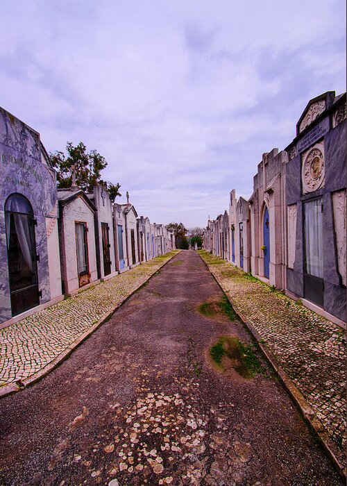 Lisbon Greeting Card featuring the photograph Sao Joao Cemetery Street by Deborah Smolinske