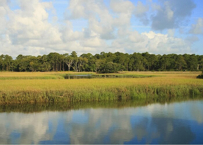 Marsh Greeting Card featuring the photograph Sapelo Marsh by Barbara Northrup
