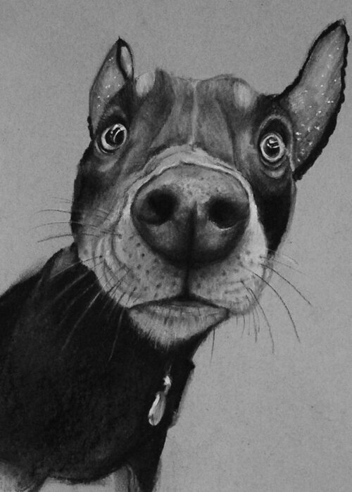 Dog Greeting Card featuring the drawing Say What? by Jean Cormier