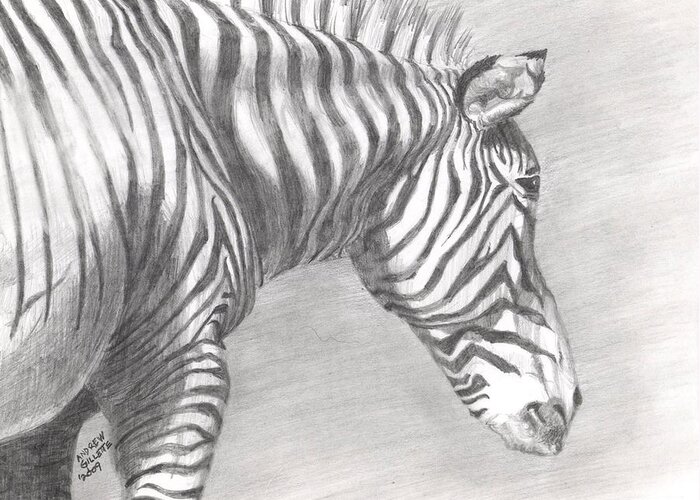 Zebra Greeting Card featuring the drawing Scanning the Horizon by Andrew Gillette