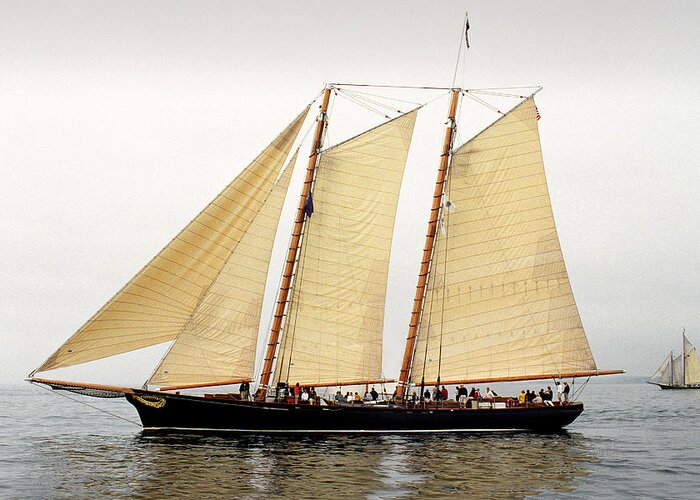 Windjammer Greeting Card featuring the photograph Schooner America by Fred LeBlanc