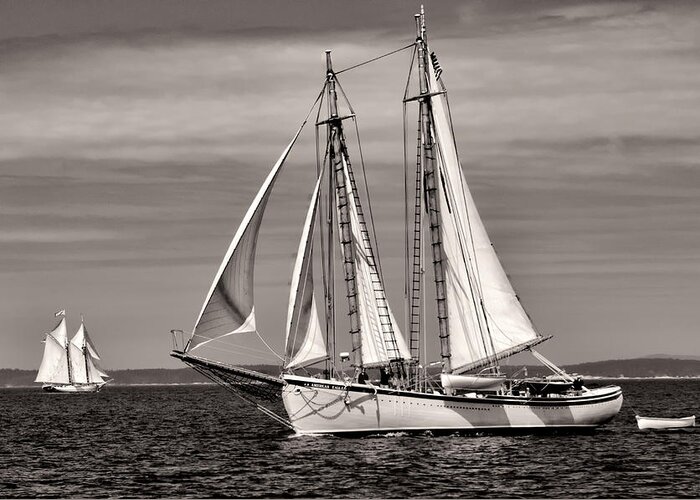  Greeting Card featuring the photograph Schooner American Eagle 2012 by Fred LeBlanc