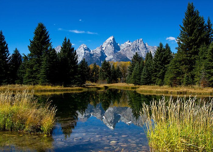 Grand Teton Greeting Card featuring the photograph Schwabacher Landing Reflection by Shari Sommerfeld