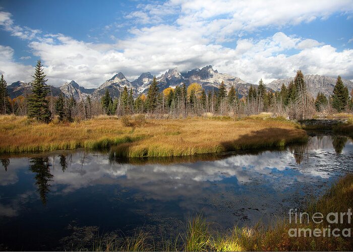 Schwabachers Landing Greeting Card featuring the photograph Schwabachers Landing, Grand Teton National Park Wyoming by Greg Kopriva