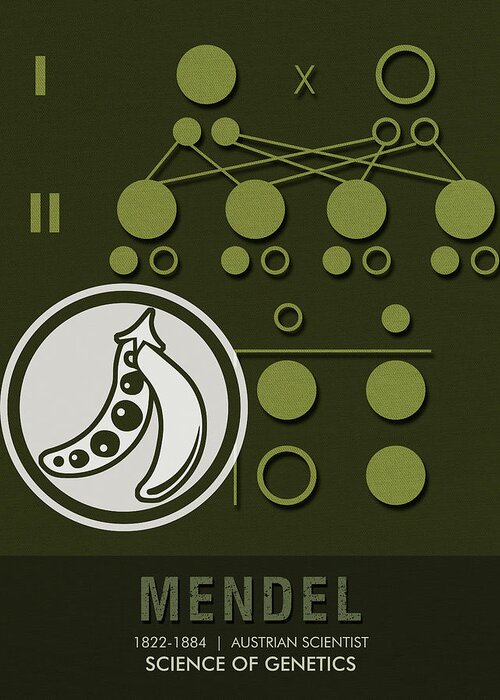Mendel Greeting Card featuring the mixed media Science Posters - Gregor Mendel - Geneticist, Scientist by Studio Grafiikka