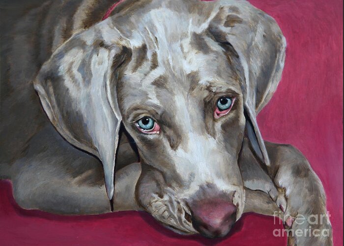 Dog Painting Greeting Card featuring the painting Scooby Weimaraner Pet Portrait by Portraits By NC