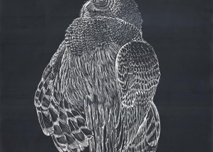 Owl Greeting Card featuring the mixed media Scratch board Owl by Darren Cannell