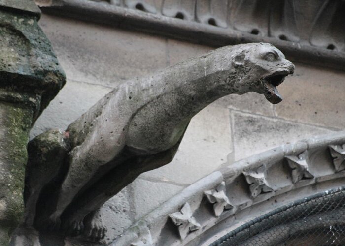 Grotesques Greeting Card featuring the photograph Screaming Griffon Notre Dame Paris by Christopher J Kirby