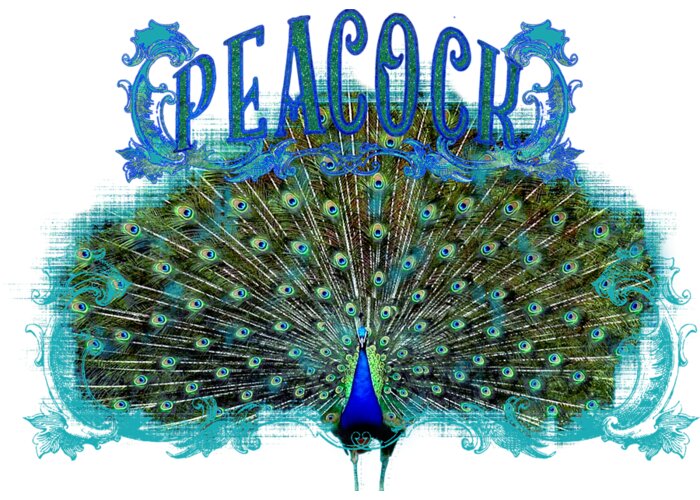 Peacock Greeting Card featuring the painting Scroll Swirl Art Deco Nouveau Peacock w Tail Feathers Spread by Audrey Jeanne Roberts