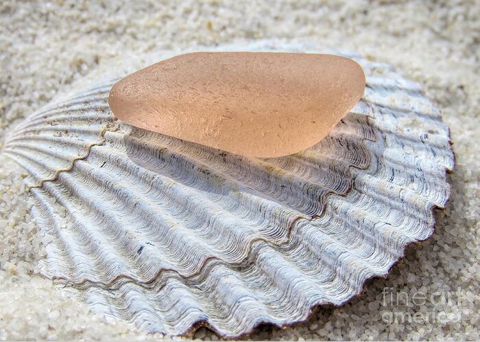 Pink Blush Color Greeting Card featuring the photograph Sea Glass in Pink Blush by Janice Drew