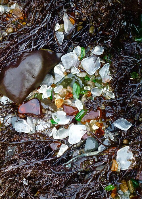 Sea Glass Greeting Card featuring the photograph Sea Glass Nest by Amelia Racca