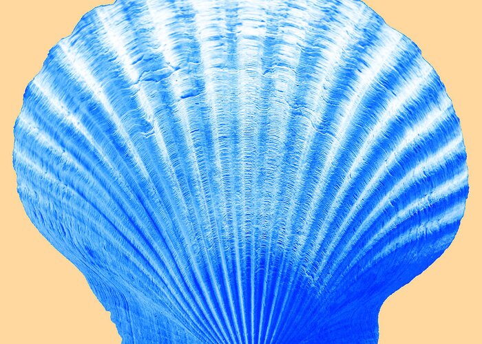 Sea Greeting Card featuring the photograph Sea Shell -Blue on Sand by WAZgriffin Digital