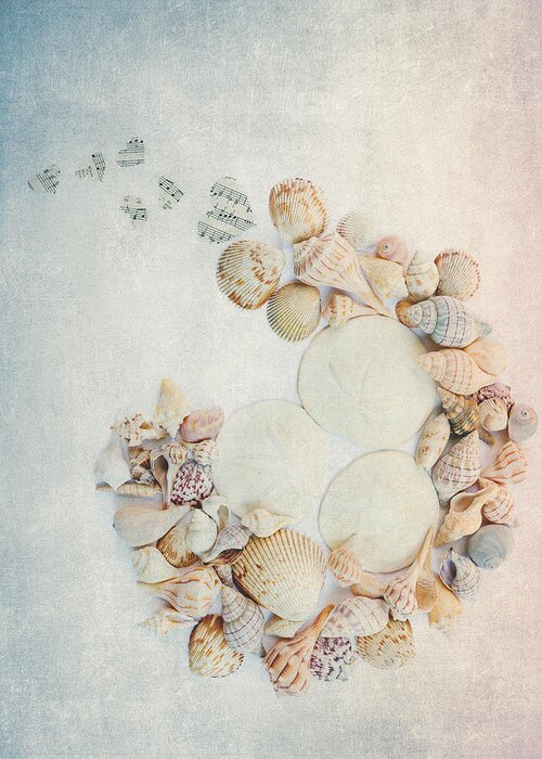 Shells Greeting Card featuring the photograph Sea Shells 7 by Rebecca Cozart