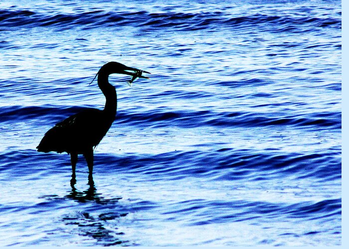 Heron Greeting Card featuring the photograph Seafood Deli by Barbara White