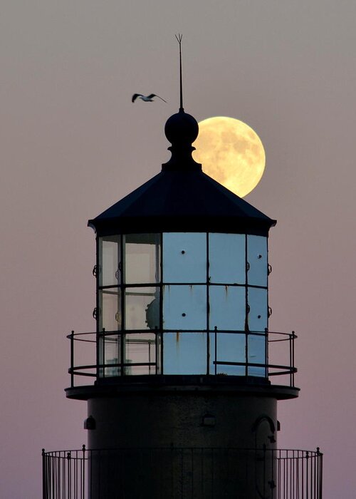 Lighthouse Greeting Card featuring the photograph Moon Moment by Colleen Phaedra