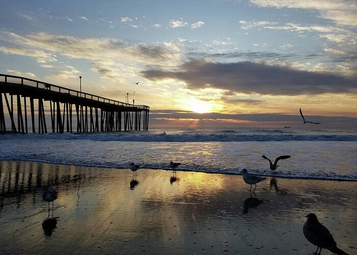 Seagulls Greeting Card featuring the photograph Seagulls and Salty Air by Robert Banach