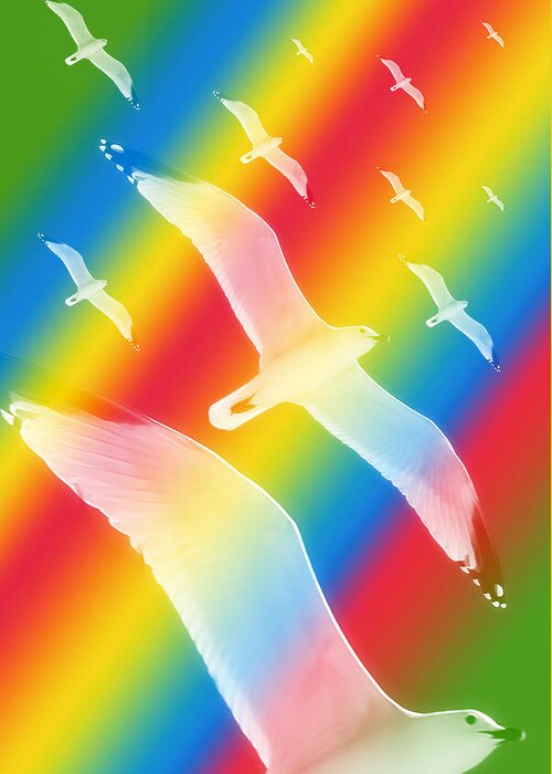 Pattern Greeting Card featuring the photograph Seagulls Dance In Color 3 by Pedro Cardona Llambias