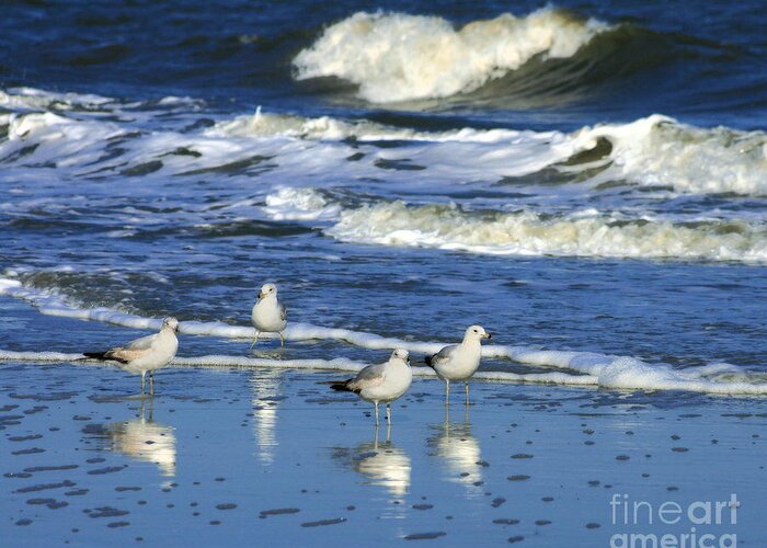  Greeting Card featuring the photograph Seagulls in the Tide by Angela Rath