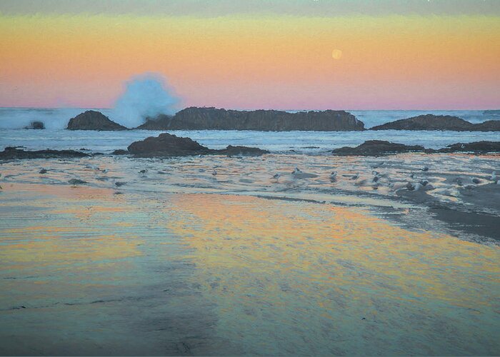 Birds Greeting Card featuring the photograph Seal Rock Moonset by Michael Balen