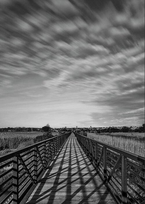Secaucus Greeting Card featuring the photograph Secaucus Greenway Trail NJ BW by Susan Candelario