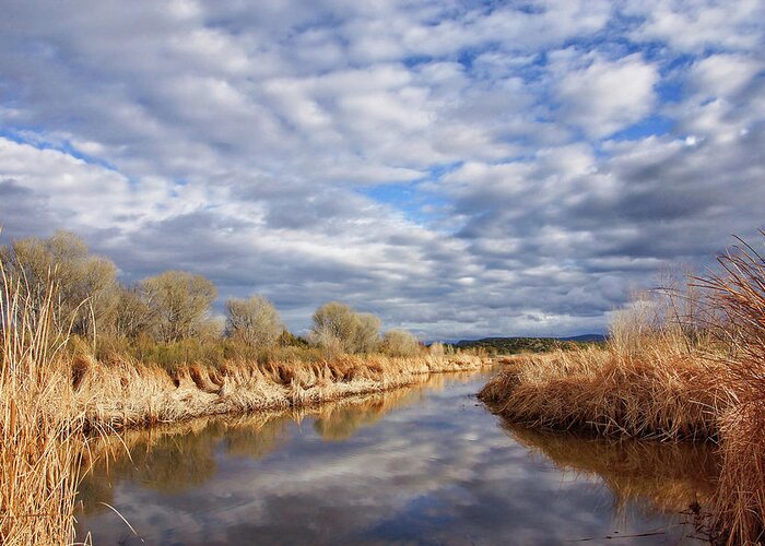 Reflections Greeting Card featuring the photograph Sedona Wetlands by Leda Robertson