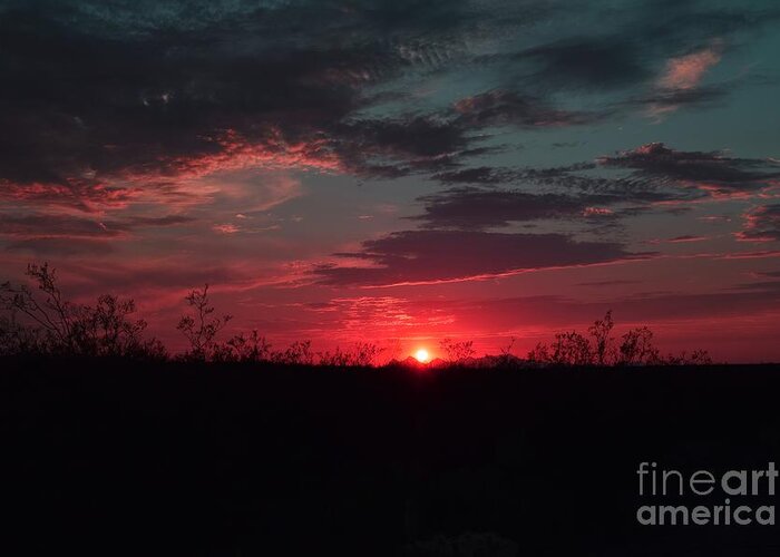 Arizona Greeting Card featuring the photograph Seeing Red at Sunset by Janet Marie