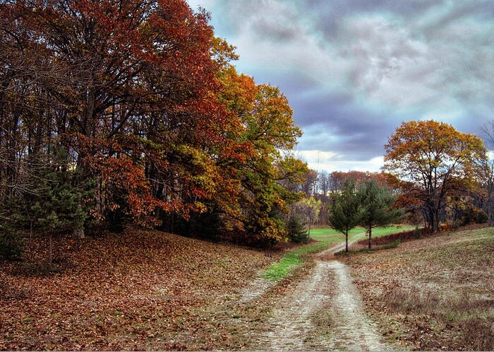 Autumn Greeting Card featuring the photograph Seldom Traveled 0609 by Michael Peychich