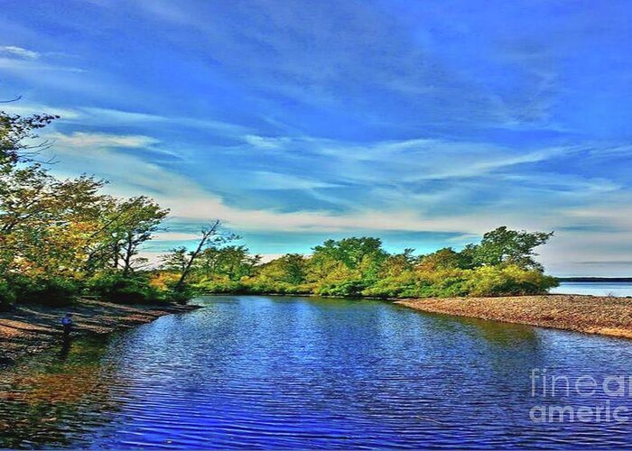 Creek Greeting Card featuring the photograph Selkirk Shores by Dani McEvoy