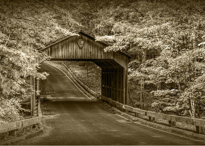 Art Greeting Card featuring the photograph Sepia Toned Covered Bridge at Sleeping Bear by Randall Nyhof