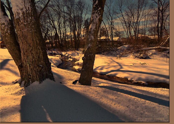 Winter Greeting Card featuring the photograph Setting sun on a winters day by Mikki Cucuzzo