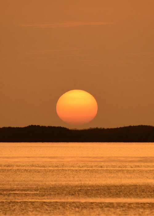 Solar Set Greeting Card featuring the photograph Setting sun on coastal Florida by David Lee Thompson