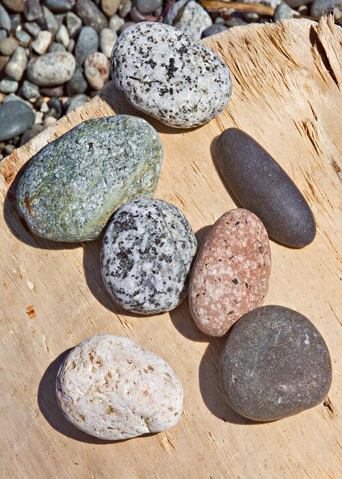 Stones Greeting Card featuring the photograph Seven Stones on a Log by Peter J Sucy