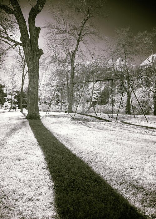 Shadow Shadows Swingset Swings Swing Set Play Ground Playground Park Public Outside Outdoors Nature Ir Infrared Infra Red Nanometer Brian Hale Brianhalephoto Hudson Ma Mass Massachusetts Sun Sky Trees Tree Greeting Card featuring the photograph Shadow of a Memory by Brian Hale