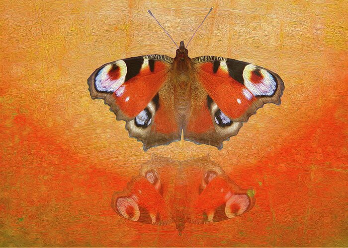 Butterfly Greeting Card featuring the photograph Shadow of Joy by Vanessa Thomas