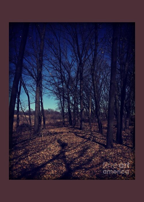 Midwest Greeting Card featuring the photograph Shadows and Trees Landscape by Frank J Casella
