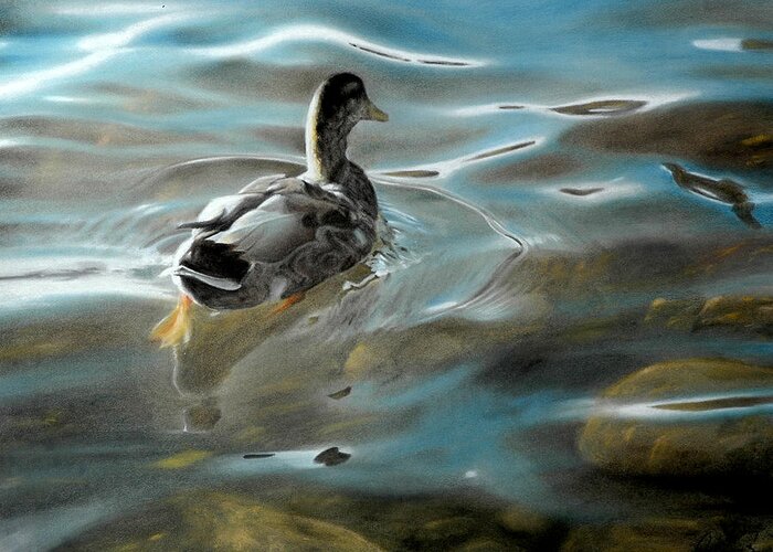 Mallard Duck Greeting Card featuring the painting Shallow Reflections by David Vincenzi